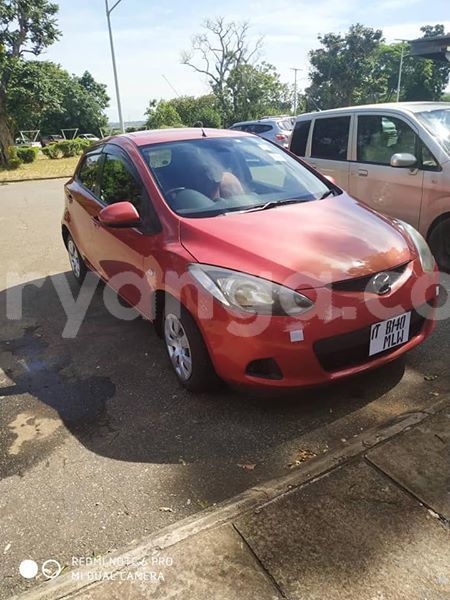 Big with watermark 59603513 2241287456135667 3697269558210461696 n