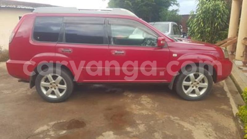 Big with watermark 58864946 846512312348845 4598352180787806208 n