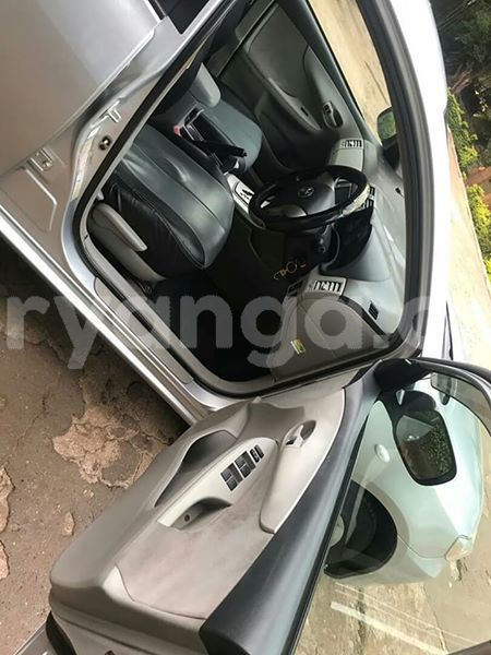 Big with watermark 59230012 194637141518296 2493199786291757056 n