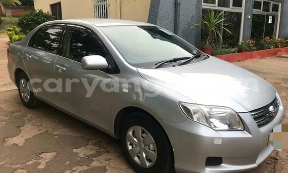 Buy Used Toyota Axio Silver Car in Lilongwe in Malawi Buy Used Toyota Axio Silver Car in Lilongwe in Malawi