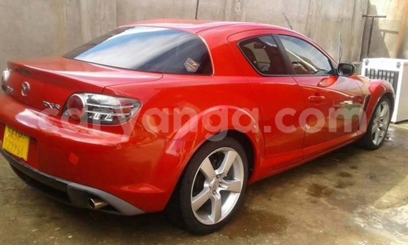 Big with watermark 59570898 2353434608314325 4527070146174386176 o