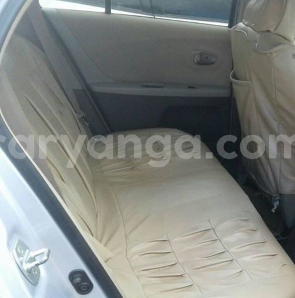 Big with watermark 59079055 2351361191855000 6979132280438521856 n