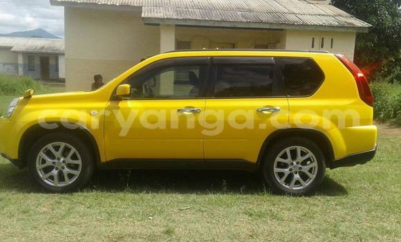 Buy Used Nissan X–Trail Other Car in Mwanza in Mwanza Buy Used Nissan X–Trail Other Car in Mwanza in Mwanza
