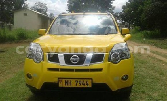 Buy Used Nissan X–Trail Other Car in Mwanza in Mwanza Buy Used Nissan X–Trail Other Car in Mwanza in Mwanza