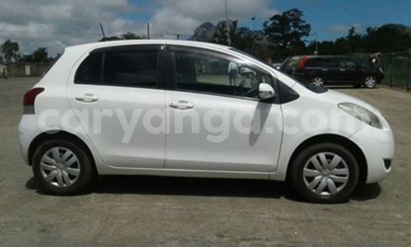 Big with watermark 57101502 2338082849849501 1010002628131684352 n