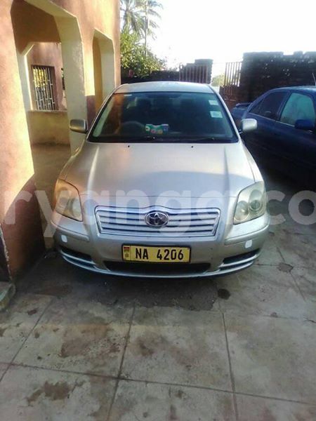 Big with watermark 56835605 2335179753473144 825511191240507392 n