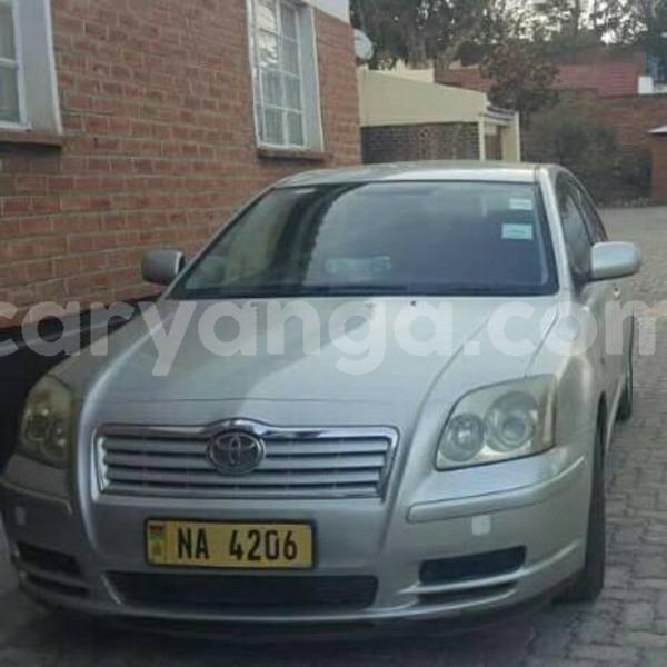 Big with watermark 57057861 2335179843473135 4481219132611624960 n