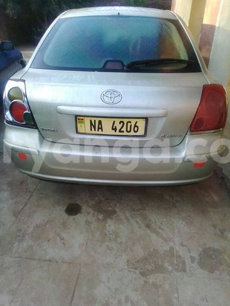 Big with watermark 56744624 2335179803473139 5092727071453478912 n