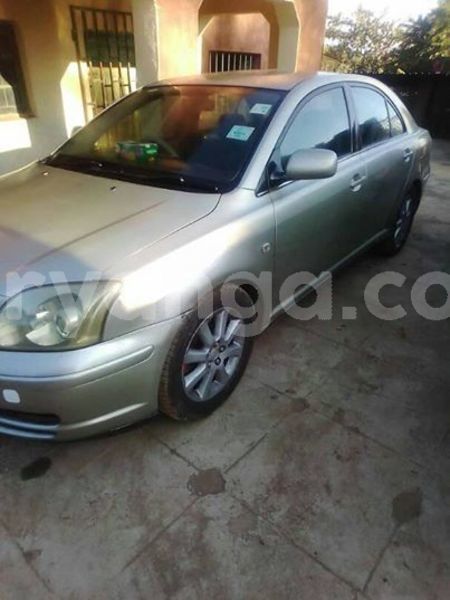 Big with watermark 56931791 2335179710139815 827941678873575424 n