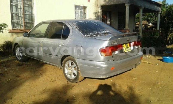 Buy Used Nissan Primera Silver Car in Mwanza in Mwanza Buy Used Nissan Primera Silver Car in Mwanza in Mwanza