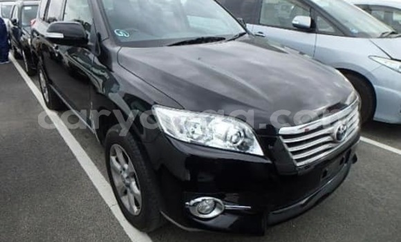 Buy Used Nissan Dualis Black Car in Blantyre in Malawi Buy Used Nissan Dualis Black Car in Blantyre in Malawi