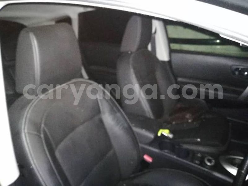 Big with watermark 59894641 2728094927232206 1743535685979078656 n