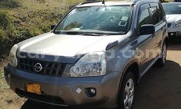 Buy Used Nissan X–Trail Other Car in Blantyre in Malawi Buy Used Nissan X–Trail Other Car in Blantyre in Malawi