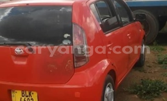 Buy Used Toyota Passo Red Car in Blantyre in Malawi Buy Used Toyota Passo Red Car in Blantyre in Malawi