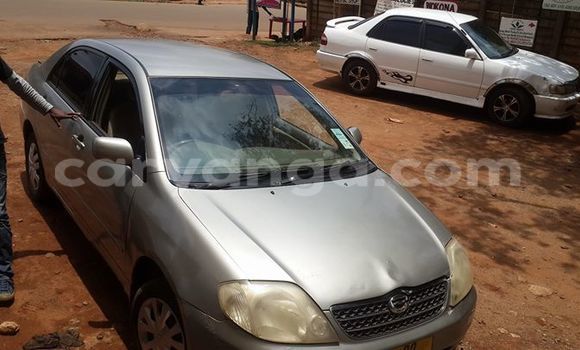 Buy Used Toyota Corolla Silver Car in Limbe in Malawi Buy Used Toyota Corolla Silver Car in Limbe in Malawi