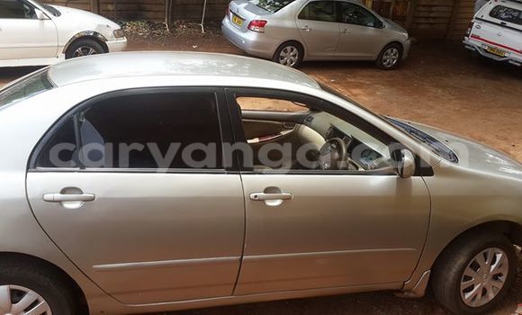 Buy Used Toyota Corolla Silver Car in Limbe in Malawi Buy Used Toyota Corolla Silver Car in Limbe in Malawi