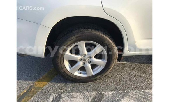Buy Import Toyota Fielder White Car in Import - Dubai in Malawi Buy Import Toyota Fielder White Car in Import - Dubai in Malawi