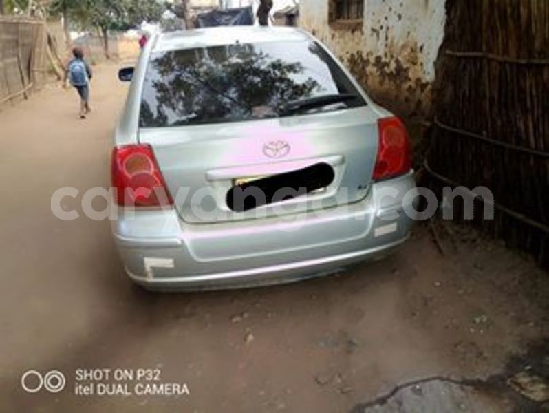 Big with watermark 60332279 10157214088468996 6136149819367882752 n