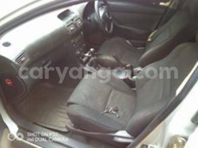 Big with watermark 60817840 10157214088503996 216295064127668224 n