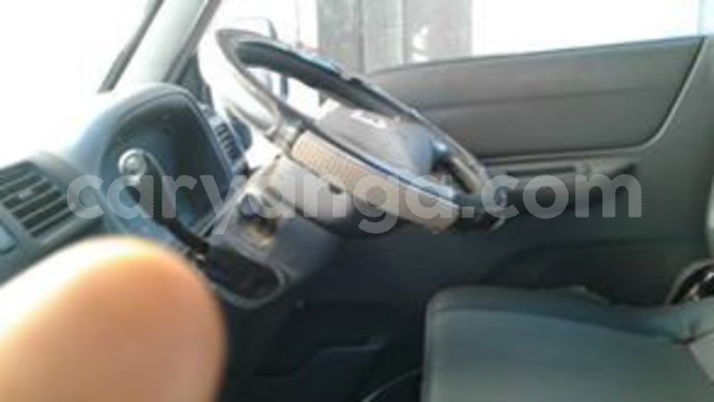 Big with watermark 60633166 10157213882953996 6309441119717425152 n