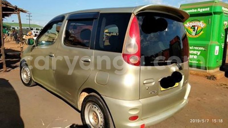 Big with watermark 60208110 10157213857633996 3682401725756473344 n