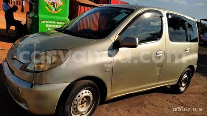 Big with watermark 60289598 10157213857683996 6965994641199988736 n