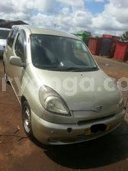 Big with watermark 60360439 10157213857713996 8640578965158756352 n