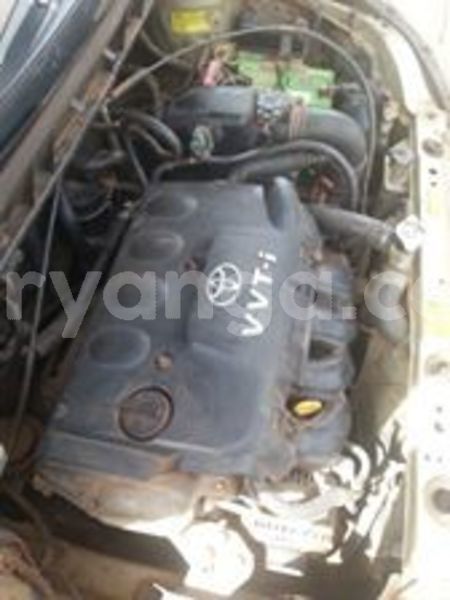 Big with watermark 60245195 10157213857778996 7733506271952764928 n