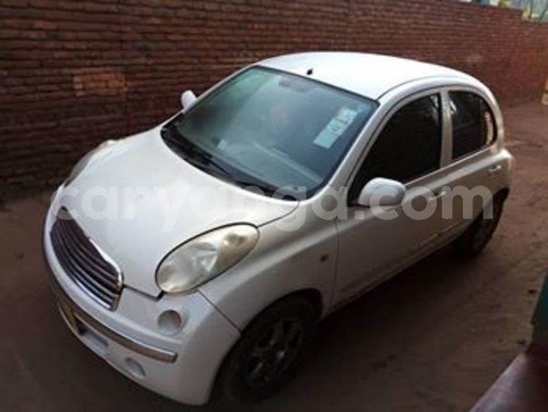 Big with watermark 60313817 10157213835508996 2516667728115269632 n