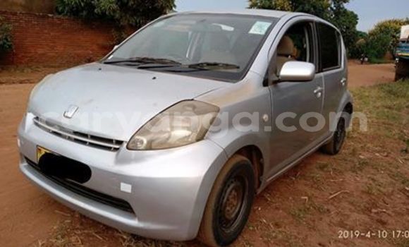 Acheter Occasion Voiture Toyota Passo Gris à Lilongwe, Malawi Acheter Occasion Voiture Toyota Passo Gris à Lilongwe, Malawi