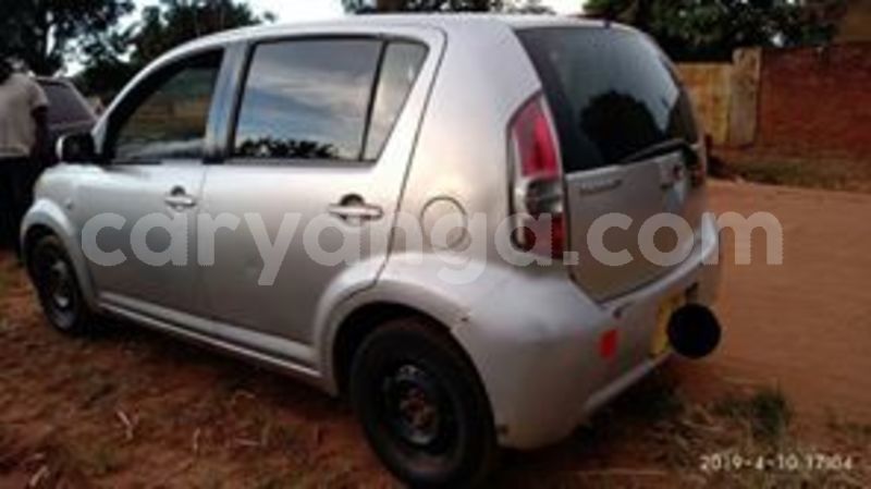 Big with watermark 59777038 10157198668138996 403337024397901824 n