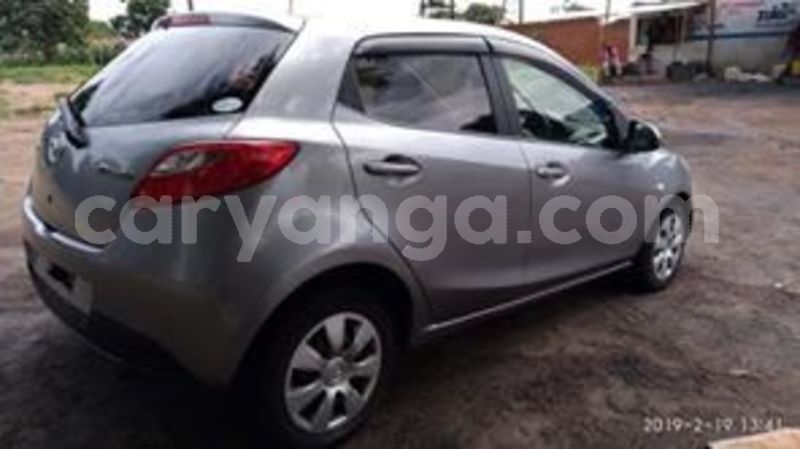 Big with watermark 57407350 10157178187933996 1594703103393792000 n