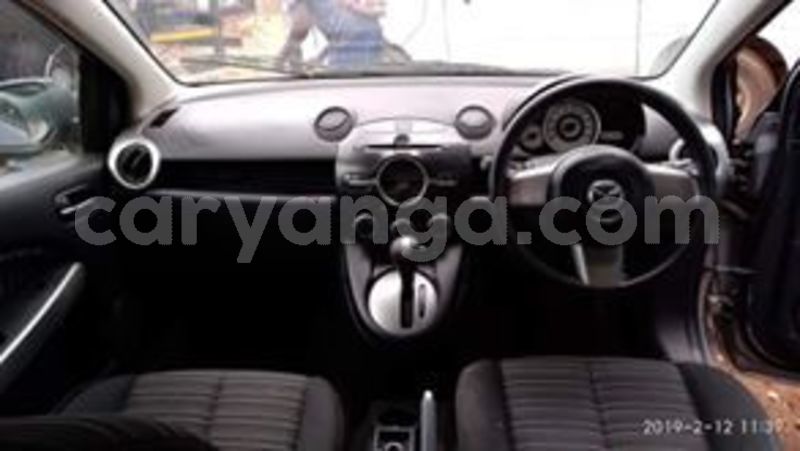 Big with watermark 58684904 10157178187993996 6551341314279997440 n