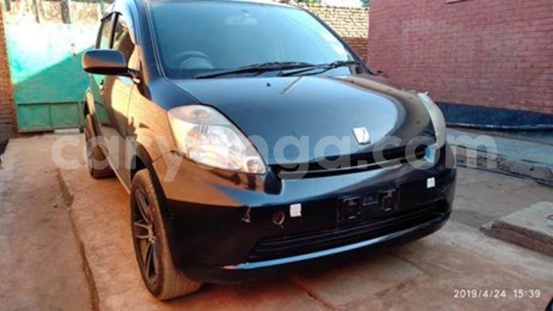 Big with watermark 59405126 10157174592908996 5717398049970454528 n