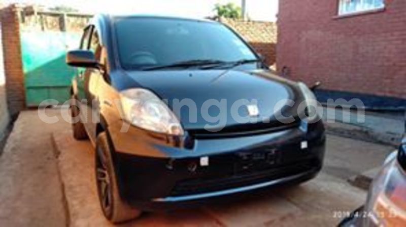 Big with watermark 59295316 10157174592958996 6929179521568473088 n