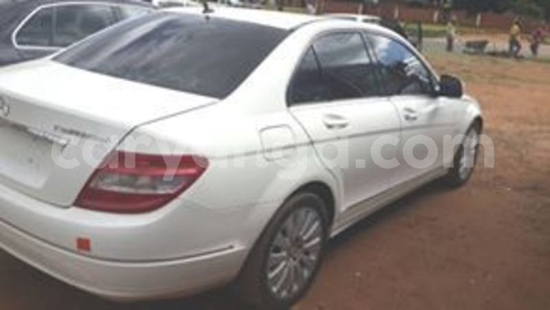 Big with watermark 58570919 2656403977763959 1760291418552664064 n