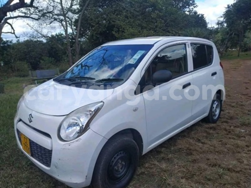 Big with watermark 60357214 2183179985134370 6035106156769181696 n