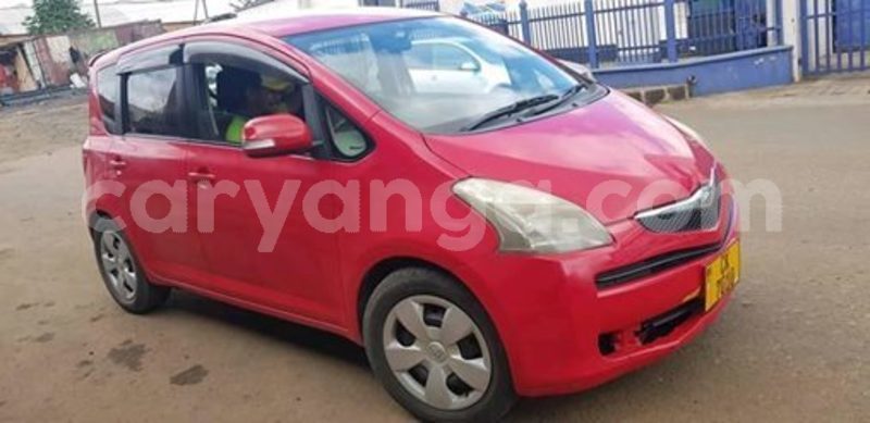 Big with watermark 58772353 2155327001253002 2761260884352303104 n