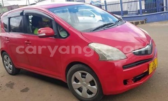 Buy Used Toyota Ractis Red Car in Blantyre in Malawi Buy Used Toyota Ractis Red Car in Blantyre in Malawi
