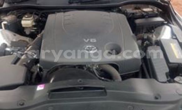 Buy Used Toyota Mark X Silver Car in Blantyre in Malawi Buy Used Toyota Mark X Silver Car in Blantyre in Malawi