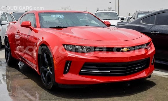 Buy Import Chevrolet Camaro Red Car in Import - Dubai in Malawi Buy Import Chevrolet Camaro Red Car in Import - Dubai in Malawi