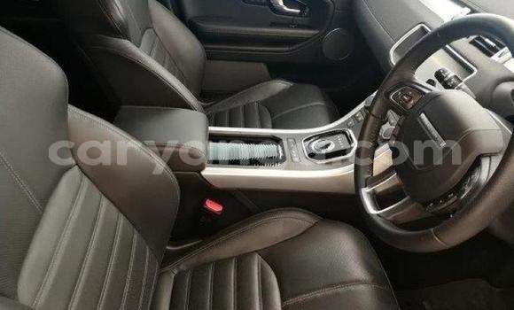 Buy Used Land Rover Range Rover Evoque Silver Car in Lilongwe in Malawi Buy Used Land Rover Range Rover Evoque Silver Car in Lilongwe in Malawi