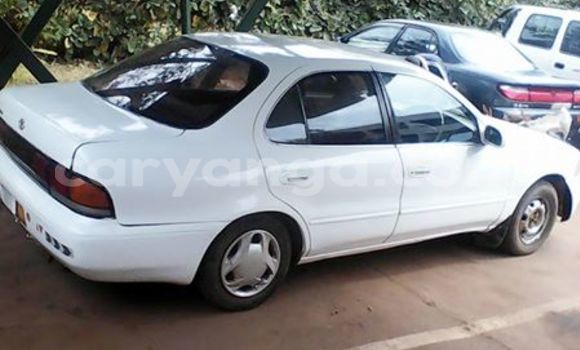 Buy Used Toyota Corolla White Car in Limbe in Malawi