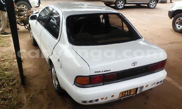 Buy Used Toyota Corolla White Car in Limbe in Malawi Buy Used Toyota Corolla White Car in Limbe in Malawi