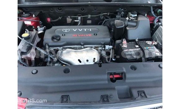 Buy Import Toyota Fielder Red Car in Import - Dubai in Malawi Buy Import Toyota Fielder Red Car in Import - Dubai in Malawi