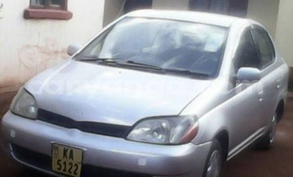 Buy Used Toyota Platz Silver Car in Limbe in Malawi Buy Used Toyota Platz Silver Car in Limbe in Malawi