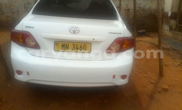 Buy Used Toyota Corolla White Car in Limbe in Malawi Buy Used Toyota Corolla White Car in Limbe in Malawi