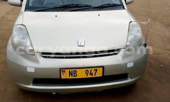 Buy Used Toyota Passo Beige Car in Lilongwe in Malawi Buy Used Toyota Passo Beige Car in Lilongwe in Malawi