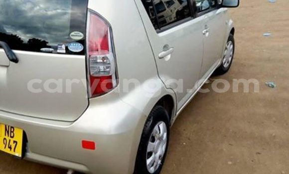Buy Used Toyota Passo Beige Car in Lilongwe in Malawi Buy Used Toyota Passo Beige Car in Lilongwe in Malawi