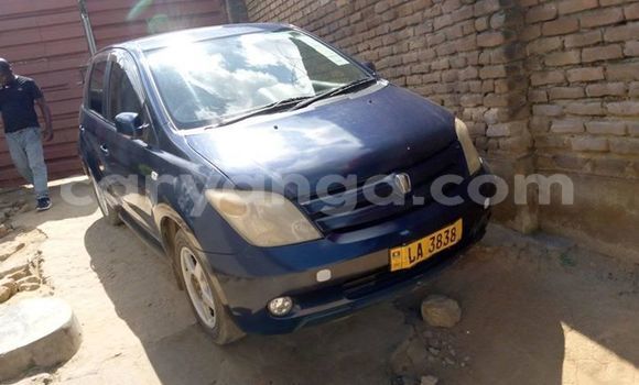 Buy Used Toyota IST Blue Car in Blantyre in Malawi Buy Used Toyota IST Blue Car in Blantyre in Malawi